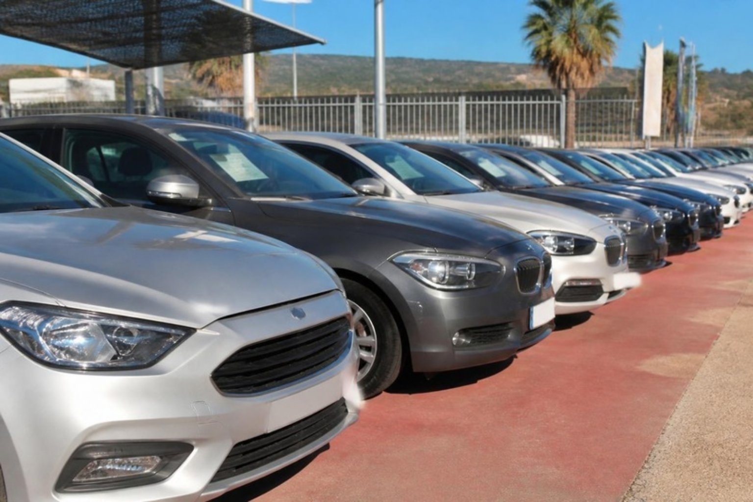 Fila de coches de segunda mano en un concesionario